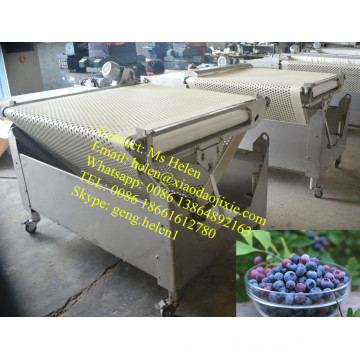 Automatische Kirschkartoffel-Sortiermaschine / Blueberry-Grading Line